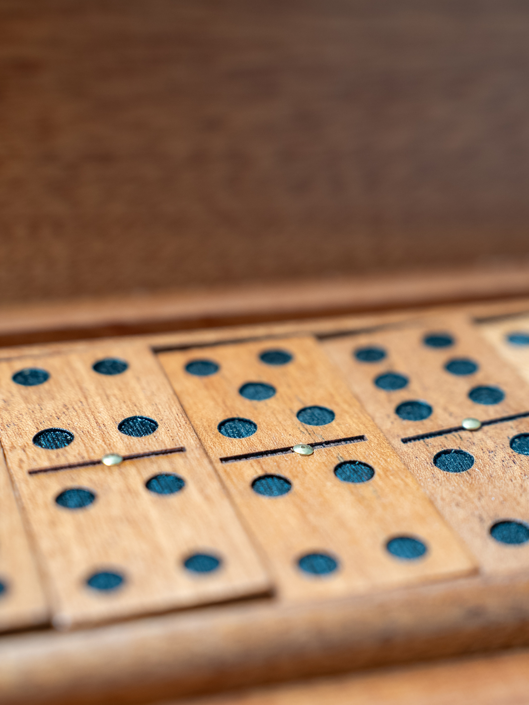 Wood Dominos