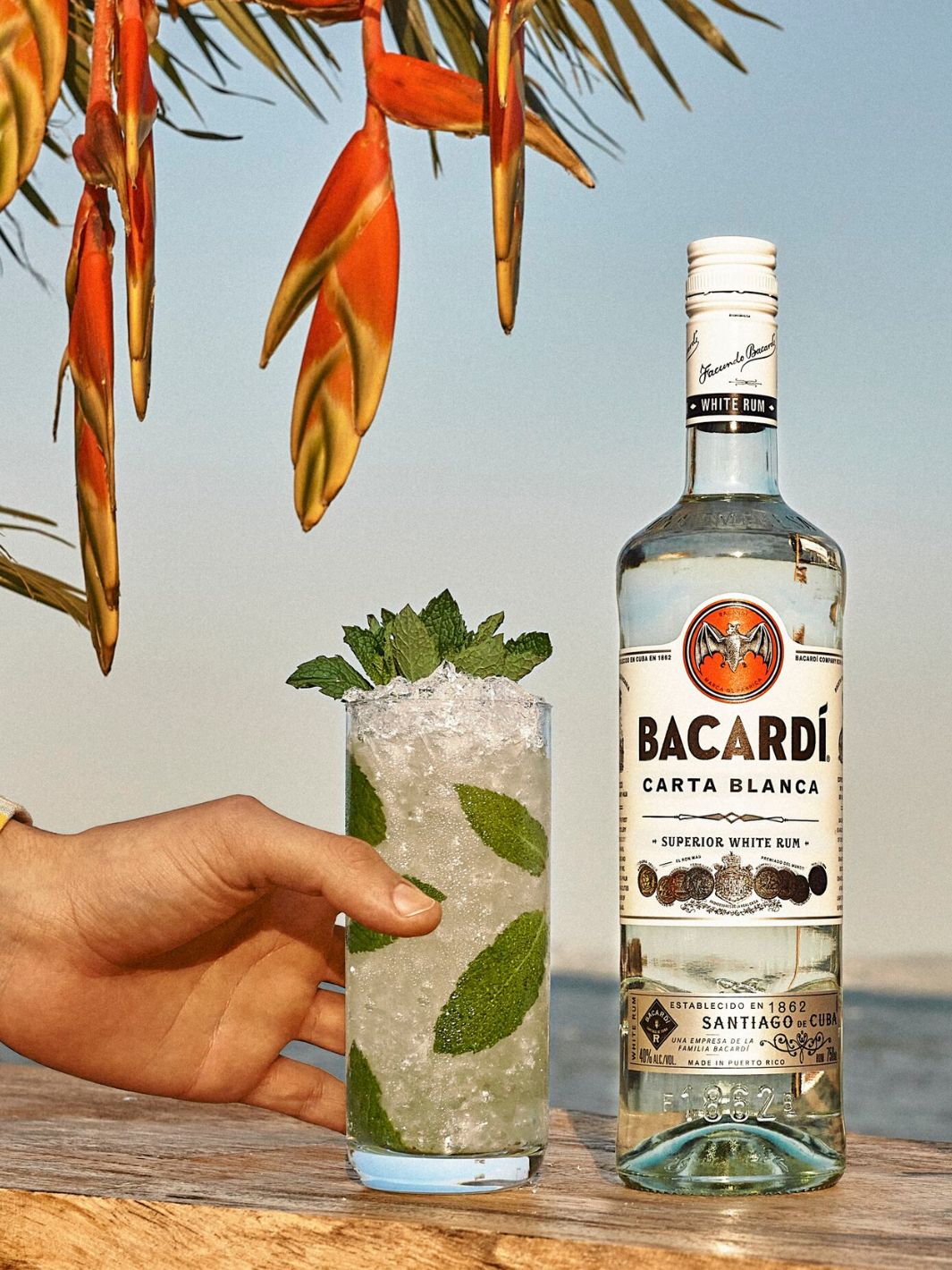 Bacardí Superior